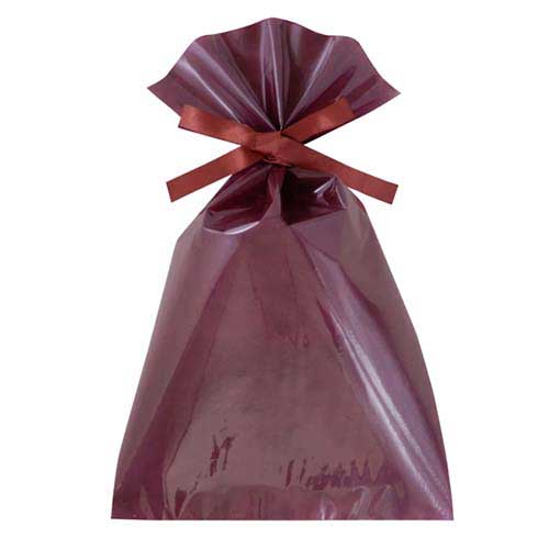 ソフトバッグクリア 2穴リボン巾着 S5 ボルドー画像