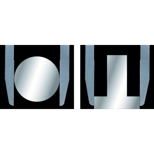 ﾛﾝｸﾞｼﾞｮｳﾉｷﾞｽ450mm 1本画像