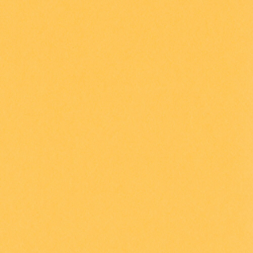 ﾆｭｰｶﾗｰR 四つ切 みかん 1ﾊﾟｯｸ(100枚)画像