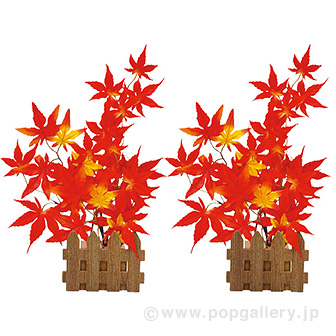 もみじ垣根セット画像