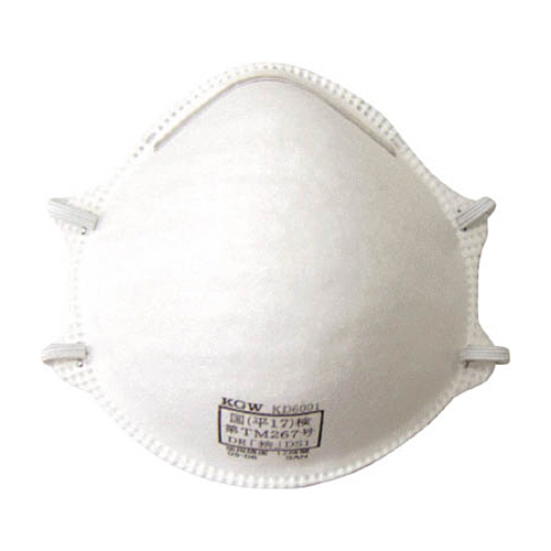 KGW DS1防じんﾏｽｸ 1箱(20枚)画像