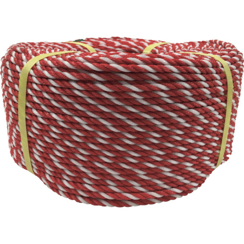 ﾛｰﾌﾟ PEﾛｰﾌﾟ巻物 6φ ×200m ｺｳﾊｸ 1個画像