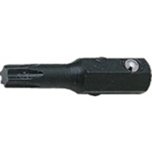 1/4Hﾄﾙｸｽﾋﾞｯﾄ 1個画像