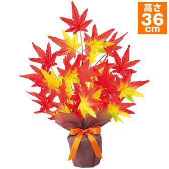 もみじバリューラッピングポット画像