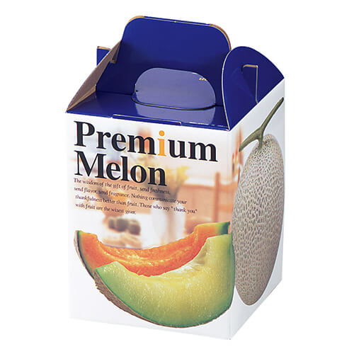 プレミアムメロン１ヶ入画像