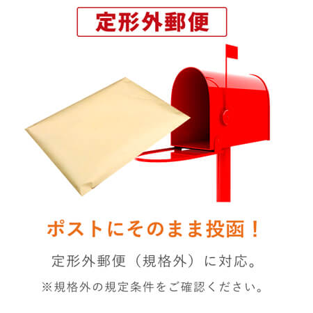 角2（A4用紙大きめ）サイズの封筒