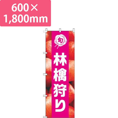 林檎狩り写真ピンク帯画像