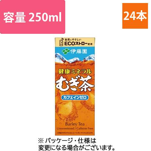 健康ミネラルむぎ茶　250mL　紙パック　1ケース(24本)画像