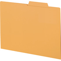 個別ﾌｫﾙﾀﾞｰ ｴｺﾉﾐｰﾀｲﾌﾟ/見出し部補強加工 A4 金茶 1ﾊﾟｯｸ(10冊)画像