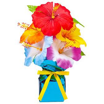 ハイビスカスニューローコストポット画像