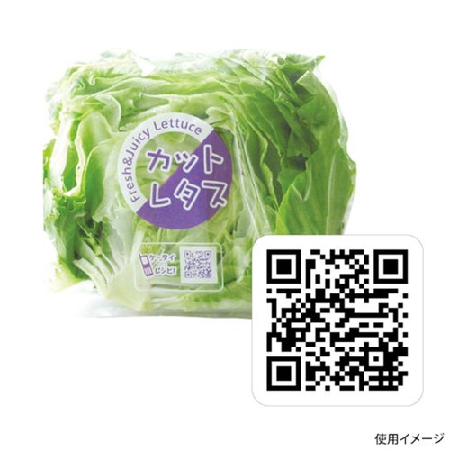 青果用袋 カットレタスQR 精工画像