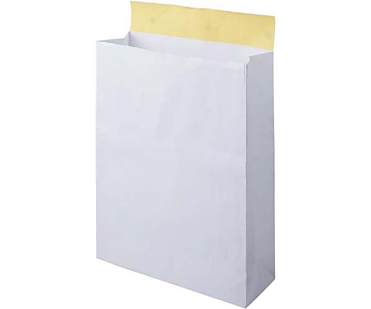 宅配袋 白 大 25枚画像