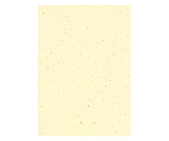 HEIKO カットペーパー 和紙 銀河 A4 黄色 20枚画像