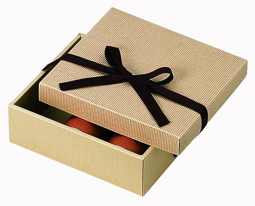 片段ギフトボックス リボン付き（226×265×高90mm）画像