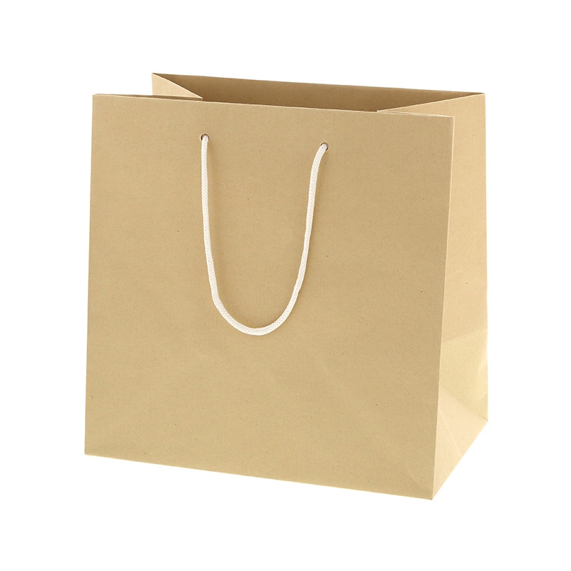 バンブーペーパーバッグ　２７－１７画像