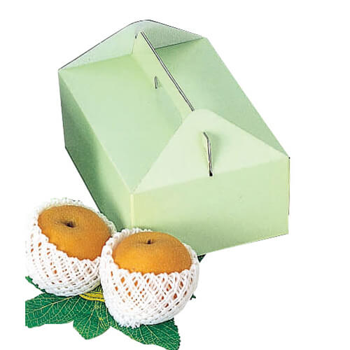 手提グリーン（中）画像