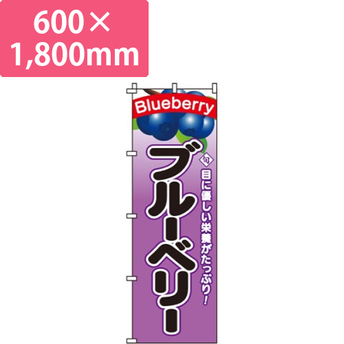 ブルーベリー画像