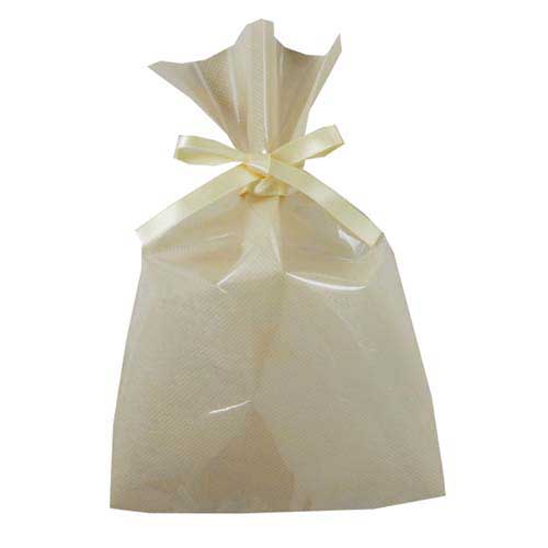 ソフトバッグクリア 2穴リボン巾着 S3 ベージュ画像