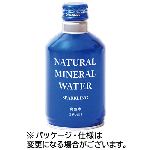 ﾅﾁｭﾗﾙﾐﾈﾗﾙｳｫｰﾀｰｽﾊﾟｰｸﾘﾝｸﾞ 290mL ﾎﾞﾄﾙ缶 1ｾｯﾄ(48本:24本×2ｹｰｽ)画像