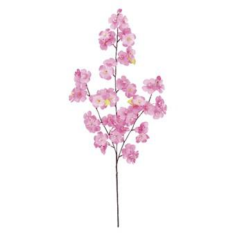 大桜スプレー中（3本枝）画像