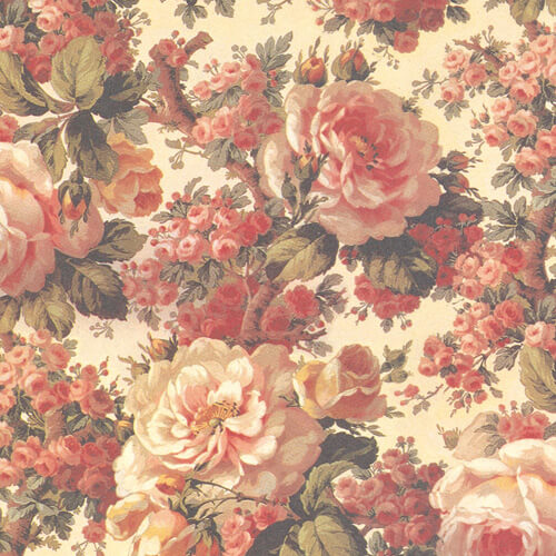 包装紙 半才 コロニアル画像