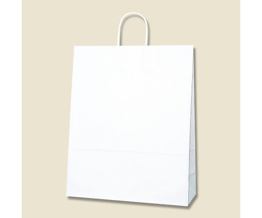 手提げ紙袋　25チャームバッグ　カスタム判　白無地　50枚画像