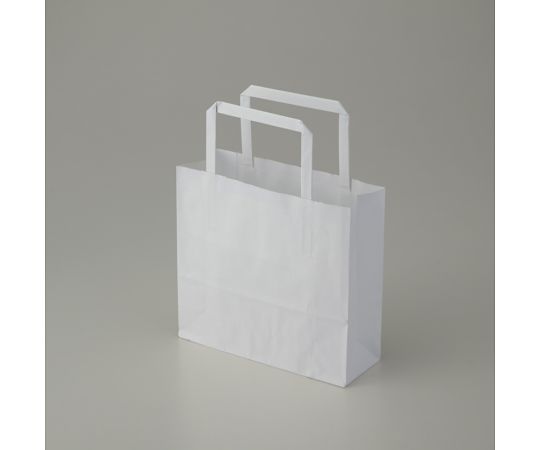 手提げ紙袋　25チャームバッグ　平手　18-2　晒白無地　50枚画像