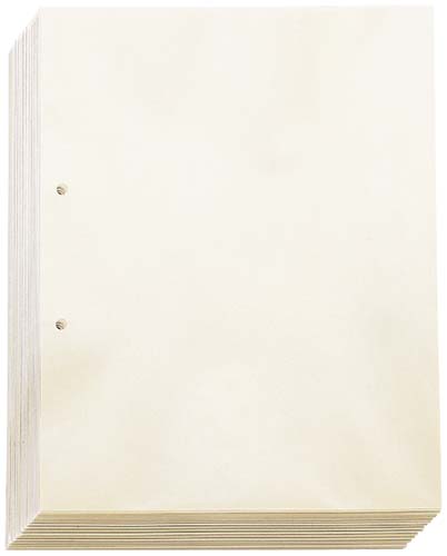 透明ポケット２穴　Ａ４　１００枚