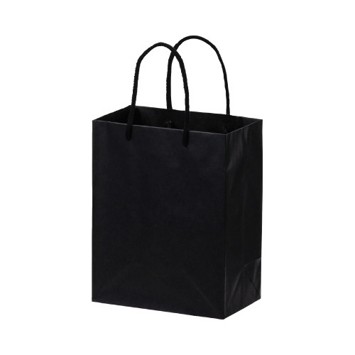 ペーパーバッグＭＳ黒１０枚入画像