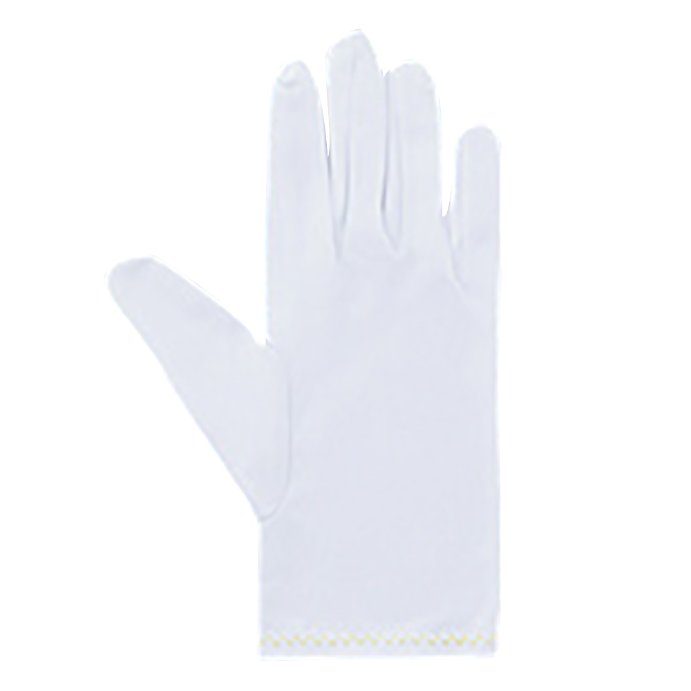 品質管理手袋（ナイロンダブル）　LL　10双入画像