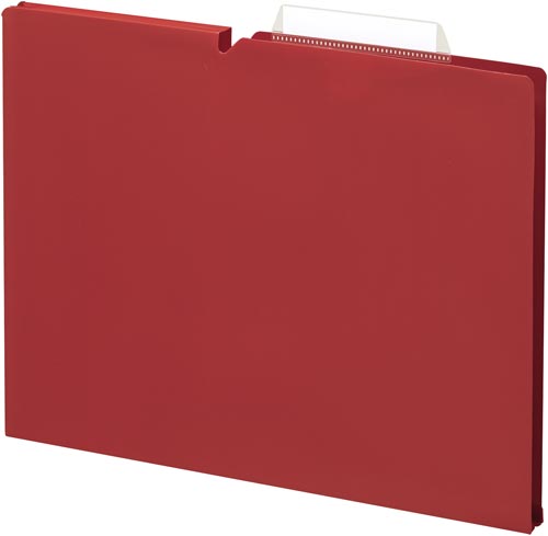 個別フォルダー＜ＮＥＯＳ＞Ａ４　１５ｍｍ赤　１０冊画像