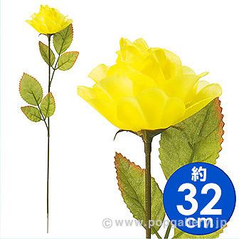 バラ（中）画像