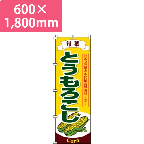 とうもろこし黄色・旬菜画像