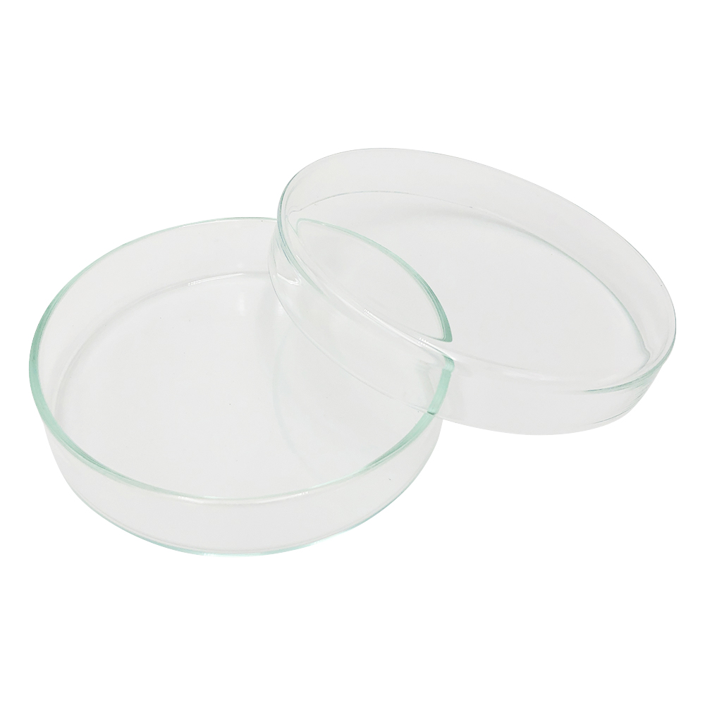 スタンダードシャーレ　φ100×20mm画像