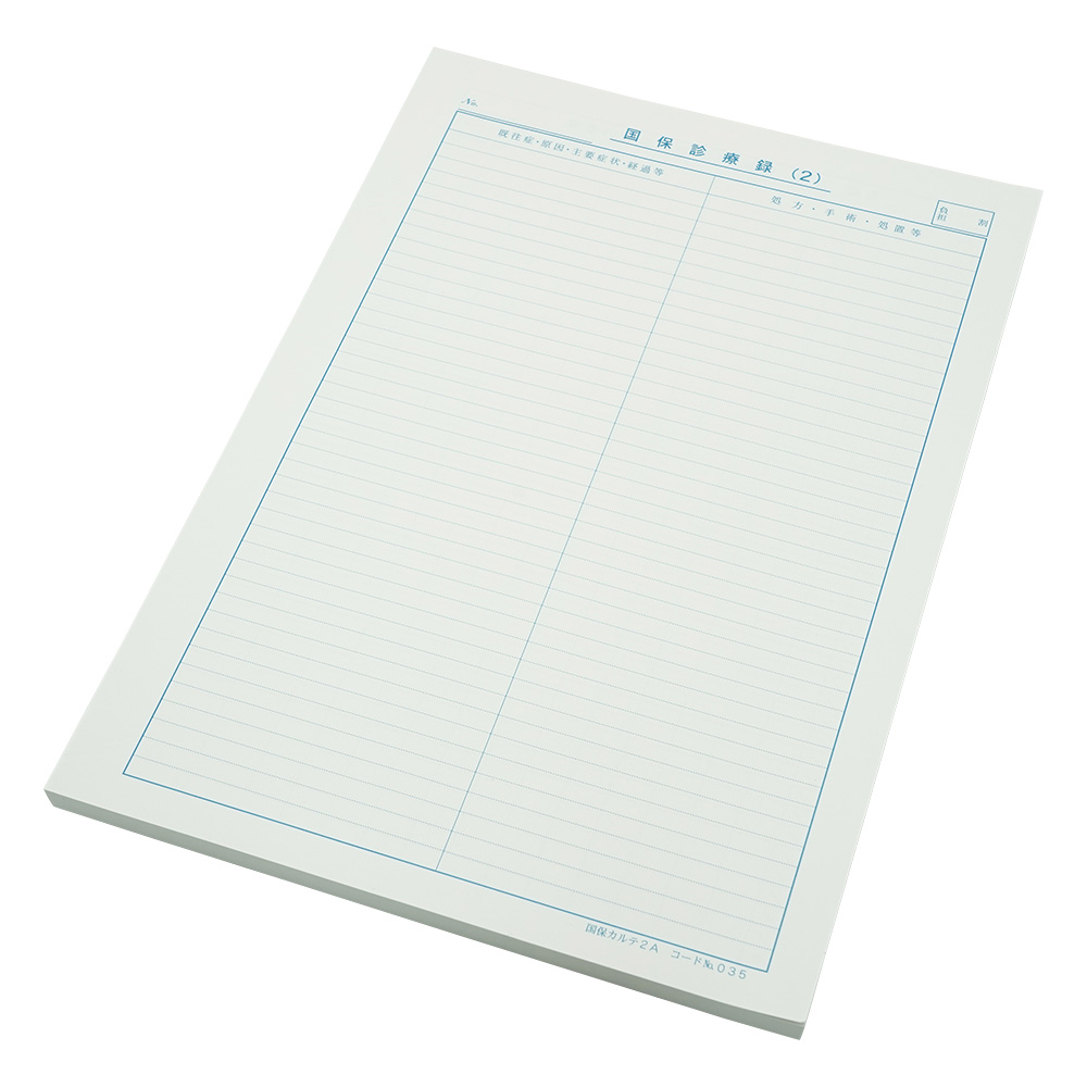 国保カルテ A4サイズ 1袋（100枚入）