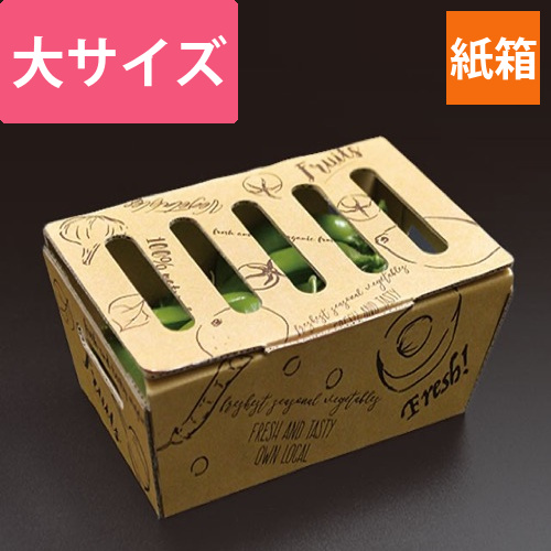 青果・農産容器 パックスタイル ベジフルボックス 大画像