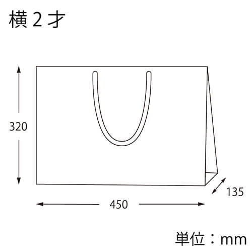 ファッションバッグ（茶・アクリル紐・幅450×マチ135×高さ320mm） 正面を向けて立てられ、マチとアクリル紐が明瞭に見える茶色のバッグ1点の様子