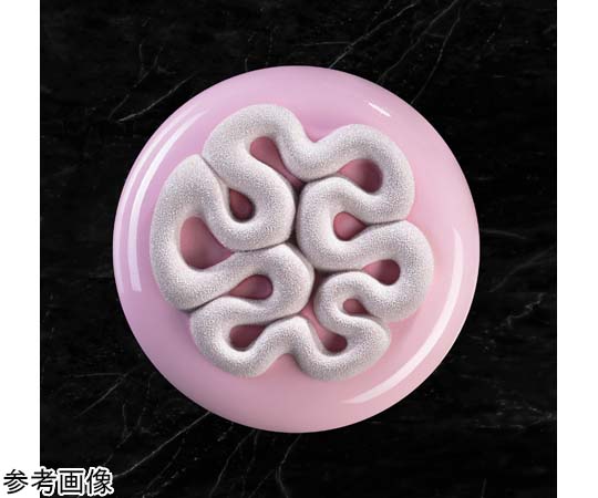 TOP 3D ミニ ジェリー（Mini Jelly） 透明なジェリーがカップに盛られ、多彩な色合いが美しく混ざり合っている様子