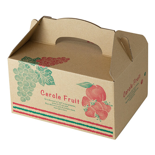 サークルフルーツ　ＳＳ画像