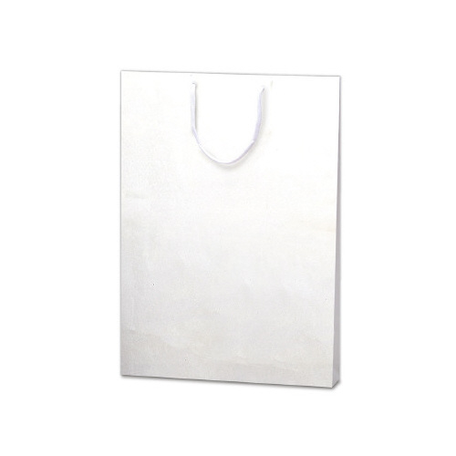 手提げ　額縁用　Ａ３画像