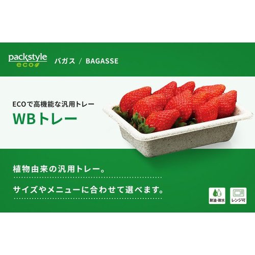 フルーツ容器 WB 16-11 パックスタイル 透明な容器に詰められたカラフルなフルーツが盛り付けられた様子