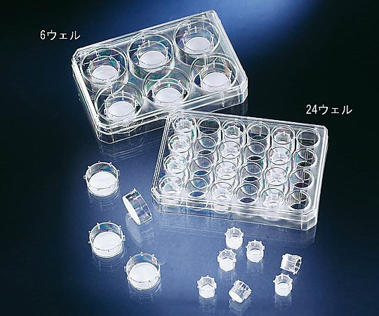 セルカルチャーインサート 1箱（6個×4袋入）画像