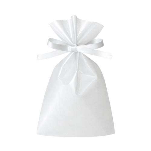 ソフトバッグクリア 2穴リボン巾着 S2 白画像