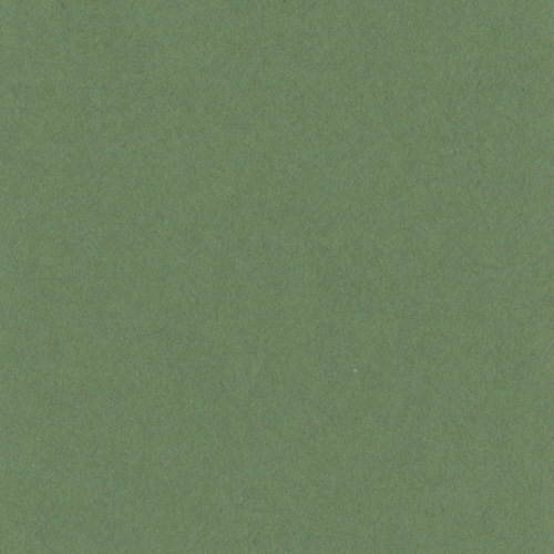 ﾆｭｰｶﾗｰR 八つ切 ｵﾘｰﾌﾞ 1ﾊﾟｯｸ(100枚)画像