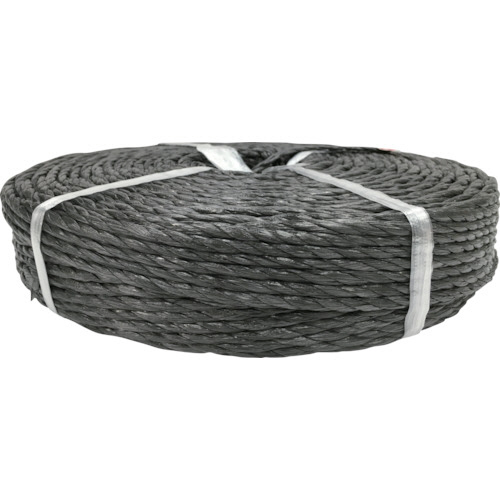 PSﾛｰﾌﾟ 黒色 6mm×200m 1巻画像