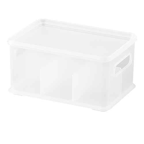 小物入れ 幅19×奥行13×高さ10cm インボックス ピコアト Lサイズ 仕切り フタ付き画像