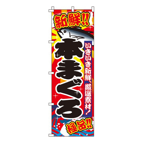 本まぐろ（鮪）画像