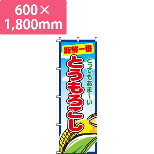 とうもろこし水色・新鮮一番画像