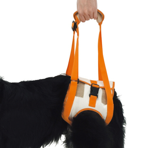 zuttone 老犬介護用 歩行補助ﾊｰﾈｽ 後足用K 2L 1個画像