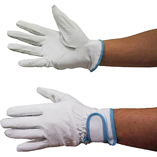 ﾎｰｹﾝ ﾌﾟﾛﾜｰｸ ﾎﾟｰｸｼﾞｮｲ#250 L 1双画像